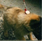 1997