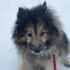 2011-02-02_09-18-14