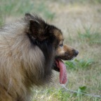 2011-07-12_19-28-37