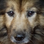2011-07-14_07-32-35