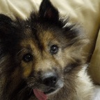 2011-09-10_13-05-39