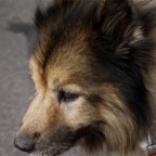 2011-12-25_13-33-28