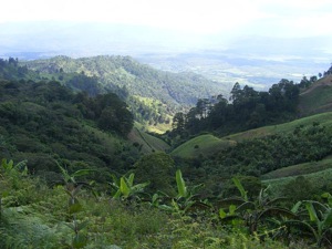 Mountain views