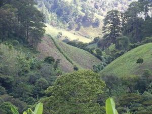 Mountain views