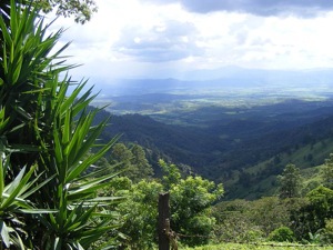 mountain views